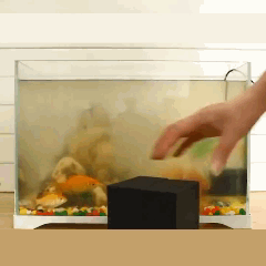 Eco-aquarium Water Purifier Cube