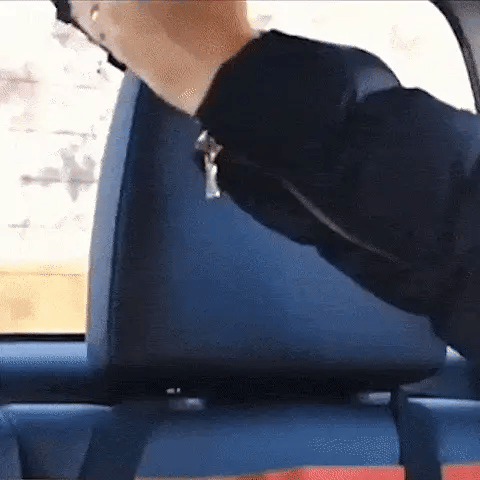Adjustable Dog Car Safety Seat Belt & Leash