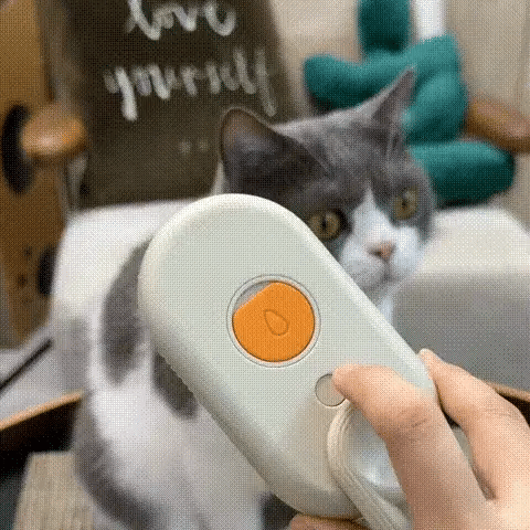 Cat Steam Brush- Perfect Grooming For Your Pet
