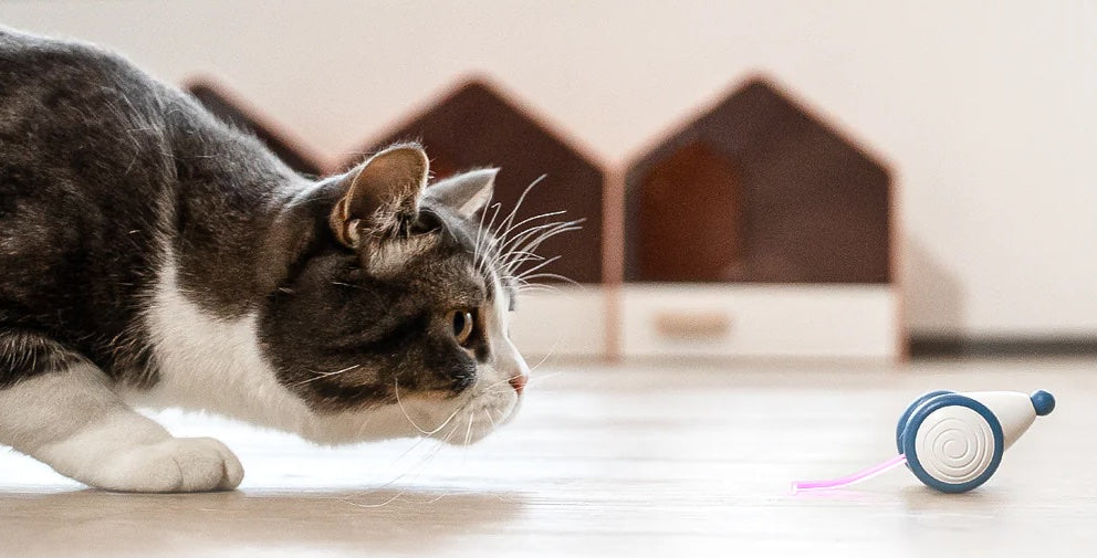 Auto-mouse Ai Cat Toy
