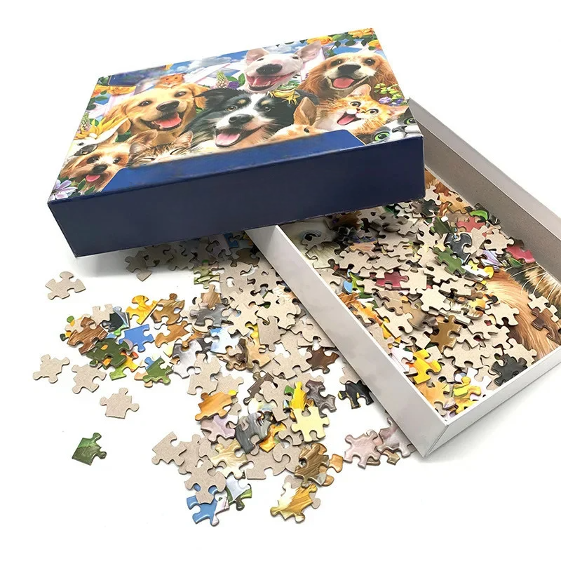 Decompression Puzzle (1000pcs)