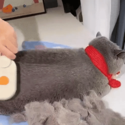 Cat Steam Brush- Perfect Grooming For Your Pet