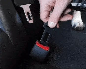 Adjustable Dog Car Safety Seat Belt & Leash
