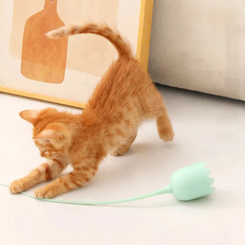 Indoor™ Cat Toys
