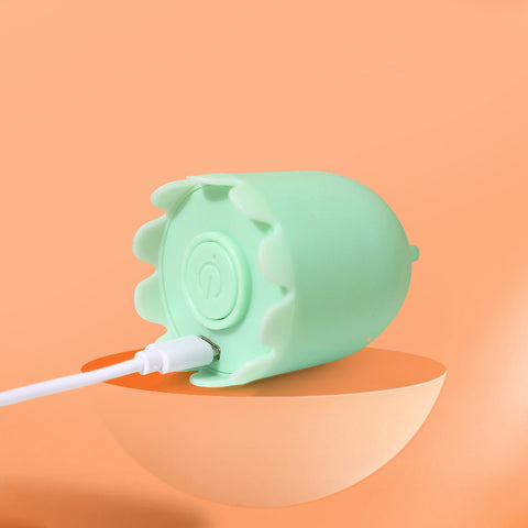 Indoor™ Cat Toys