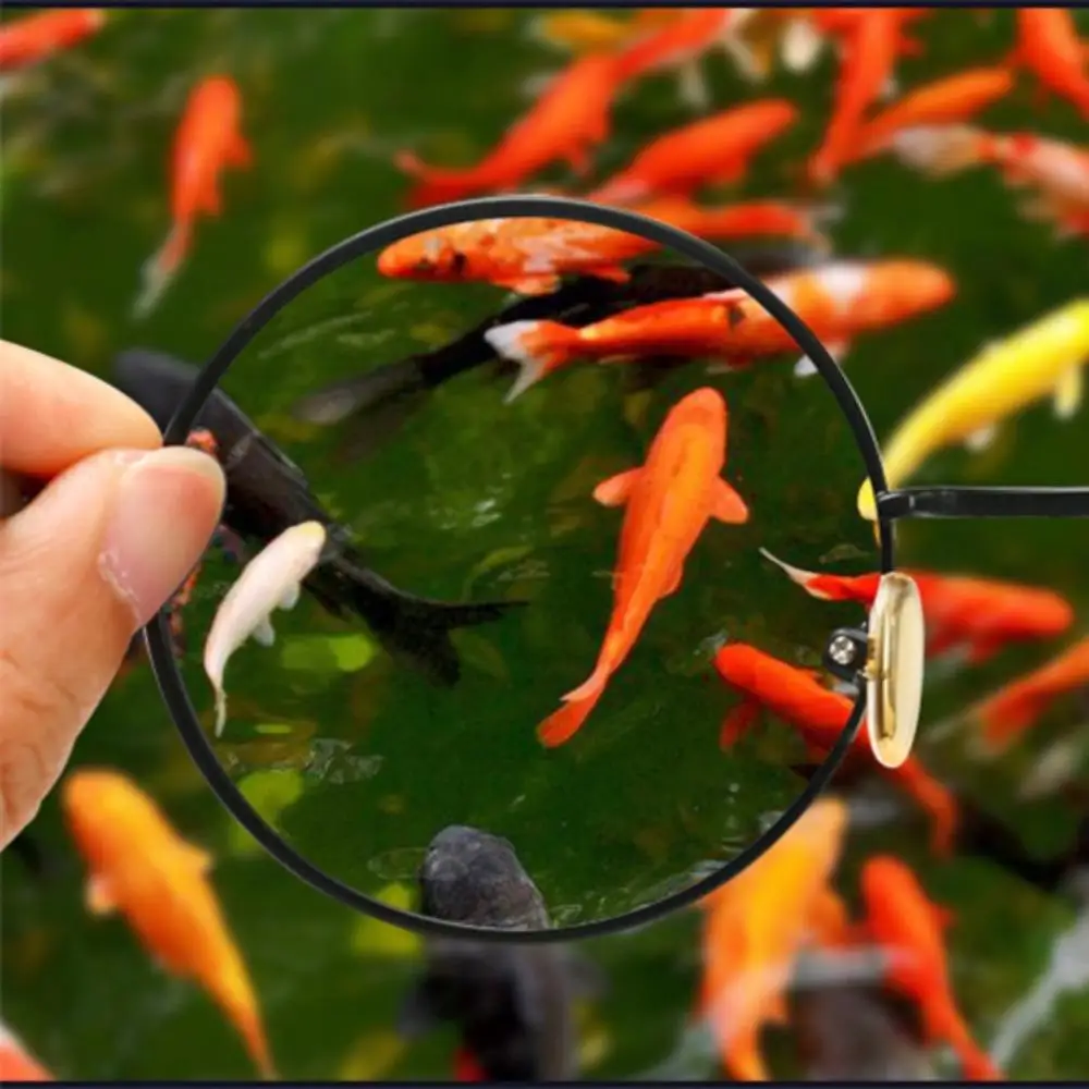 Sandro Ray Sunglasses