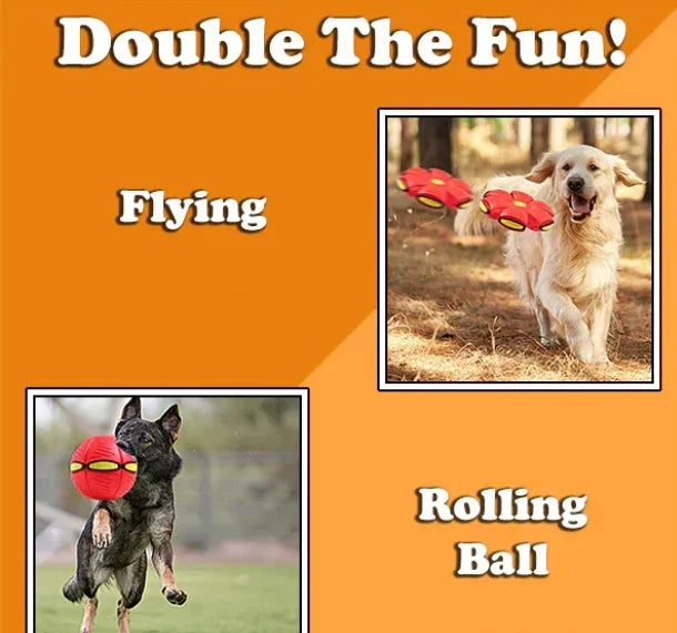 Doggy Disc Ball For Dog