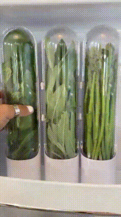 Herb Saver For Refrigerator