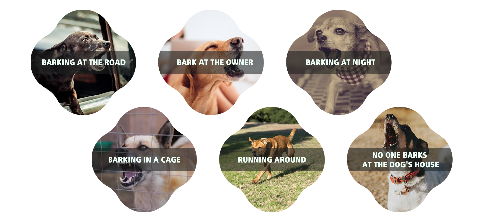 Gps Wireless Dog Training Fence