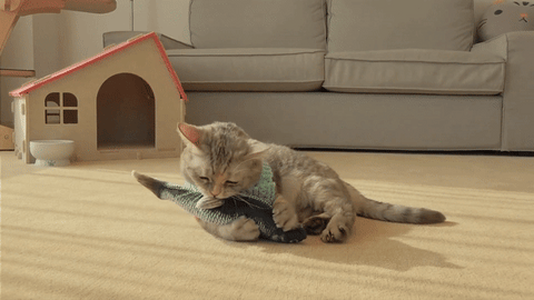 Interactive Floppy Fish Cat Toy – Perfect For Pouncing And Playtime!
