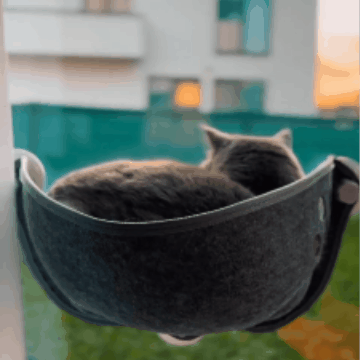 Deluxe™ Cat Window Hammock