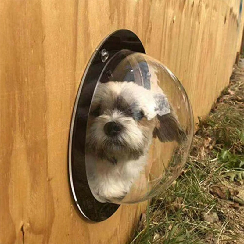 Dog Fence Window Bubble Dome
