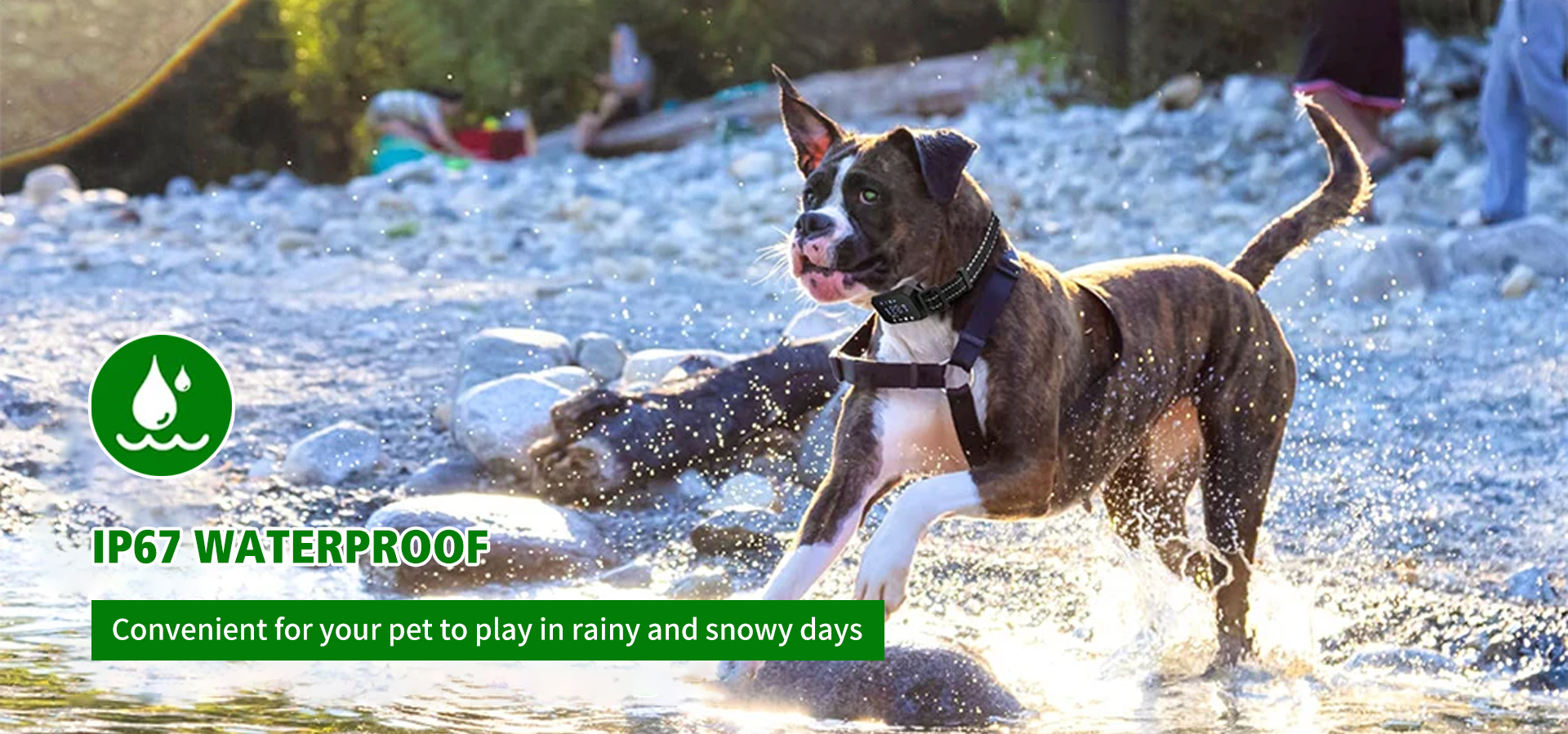 Gps Wireless Dog Training Fence