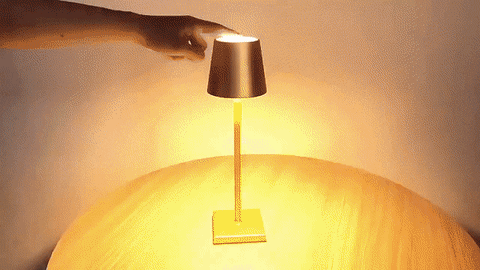 Casami Table Lamps