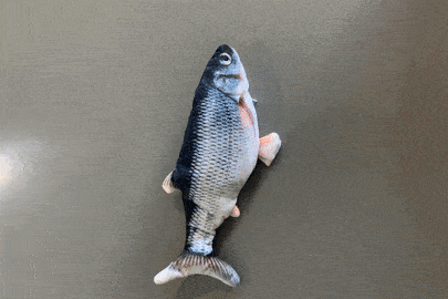 Interactive Floppy Fish Cat Toy – Perfect For Pouncing And Playtime!