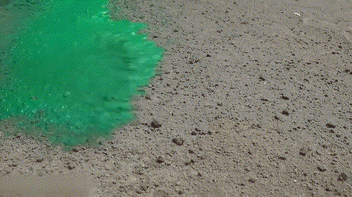 Green Grass Lawn Spray