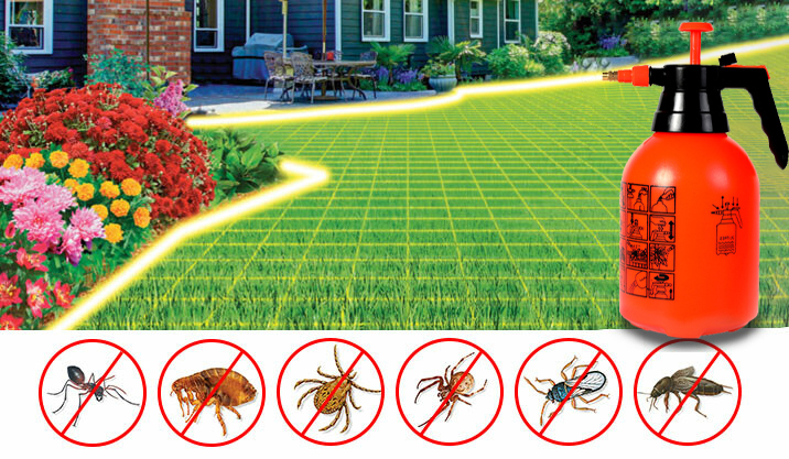 Green Grass Lawn Spray