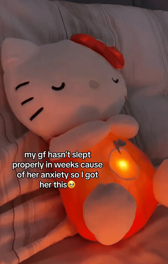 Sleeping Kitty