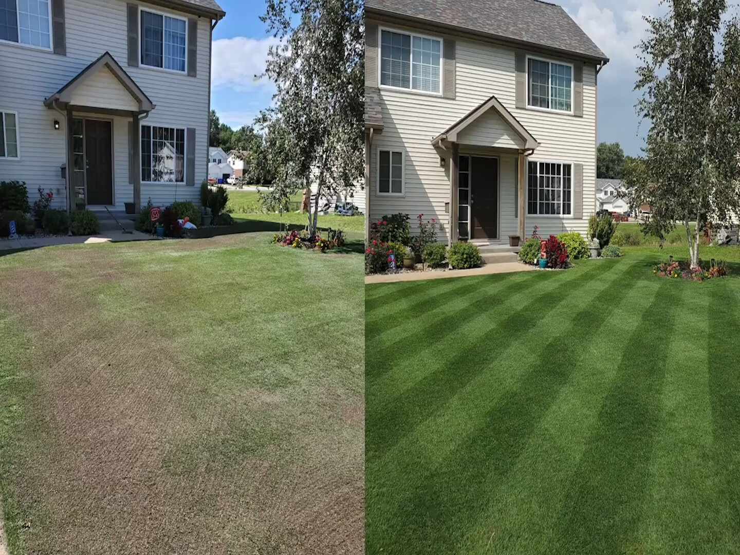 Green Grass Lawn Spray