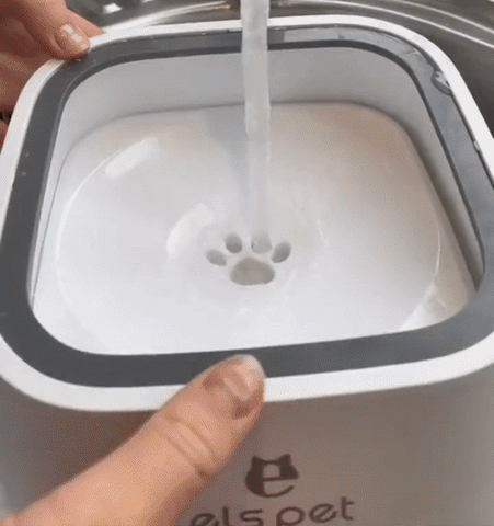 Zero Splash Dog Water Bowl