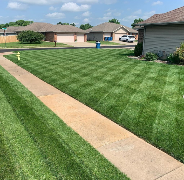 Green Grass Lawn Spray
