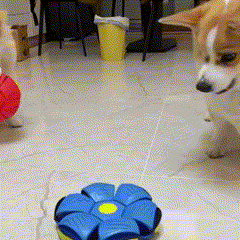 Dog Toys Flying Ufo – Saucer Ball Training Games Interactive Outdoor Sports – Magic Deformation Flat Throw Disc Ball – Hot Sale 50% Off