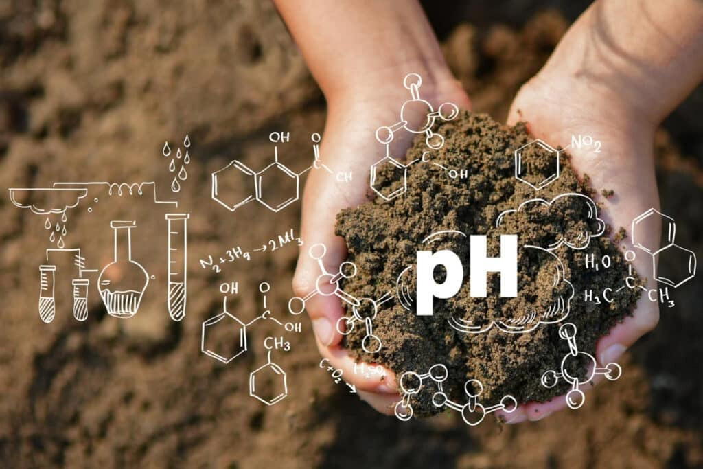 Probeync Soil Ph Meter - The Ultimate Tool For Plant Enthusiasts And Farmers