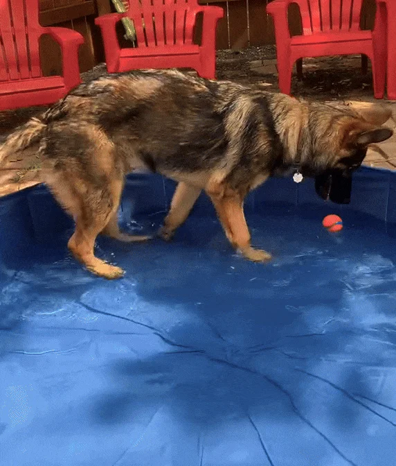 Splashmate - Portable Pool