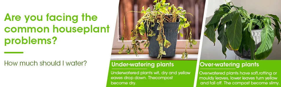 Precision Gardening Made Easy: Arretpal Soil Moisture Meter