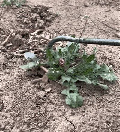 Dritnow™ - New Weeding Artifact Uprooting Weeding Tool