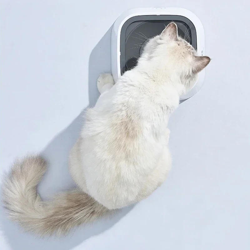 Non-spill Pet Water Bowl
