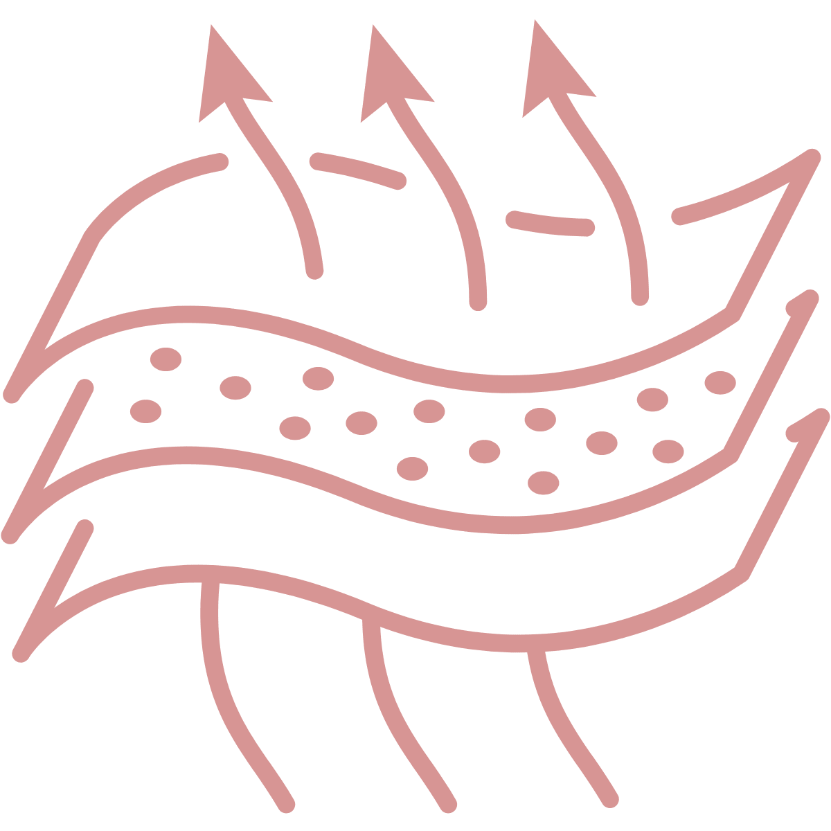 Atractiva - The Ultimate Wire-free Comfort Bra