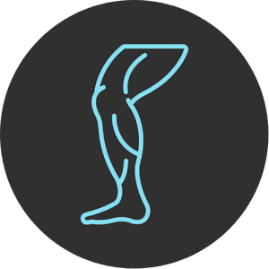 Advanced Full Body Strength & Muscle Builder