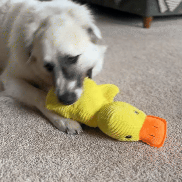 Calming Duck Toy （✔️ Non-toxic Chew-resistant Fabric)