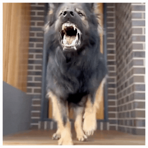 PupQuiet - Ultrasonic Bark Control