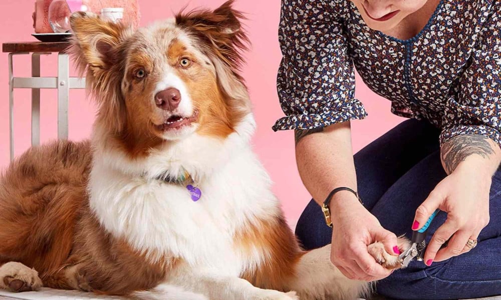 Puppiclaw - Fully Automatic Pet Nail