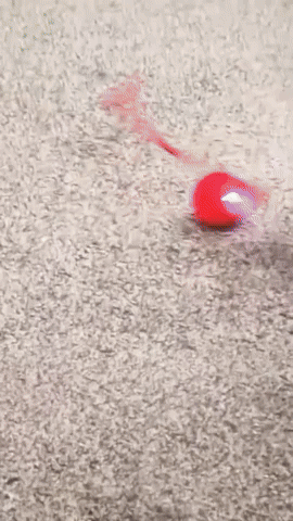 Pouncepod™ Interactive Chase Ball For Cats