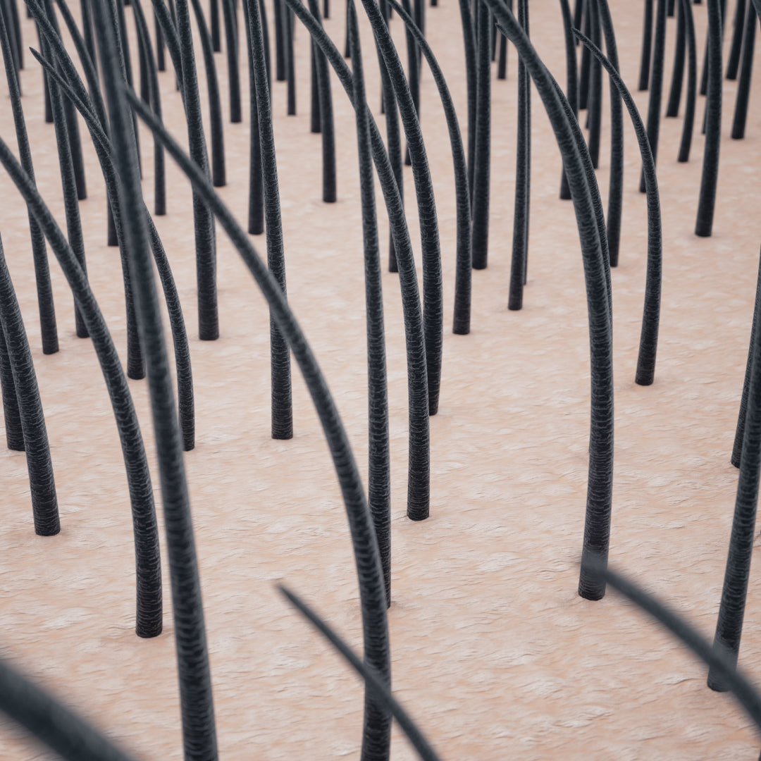 3-in-1 Hair Regrowth Comb