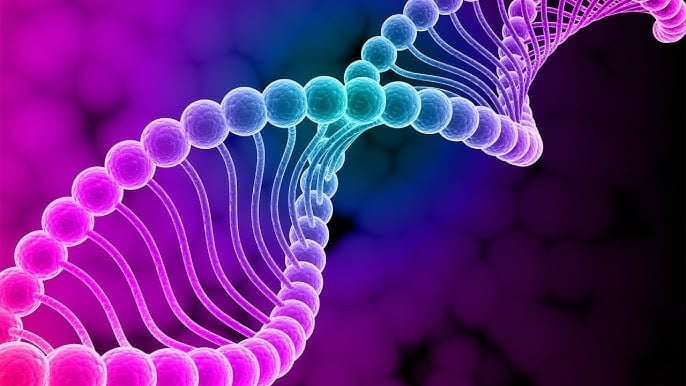 Equidrum™ 528hz With Accessories + Bonuses - Stamny