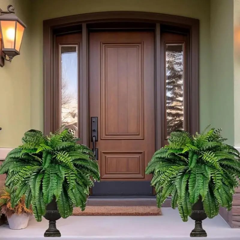 Giant Boston Fern Bush - Magnolias