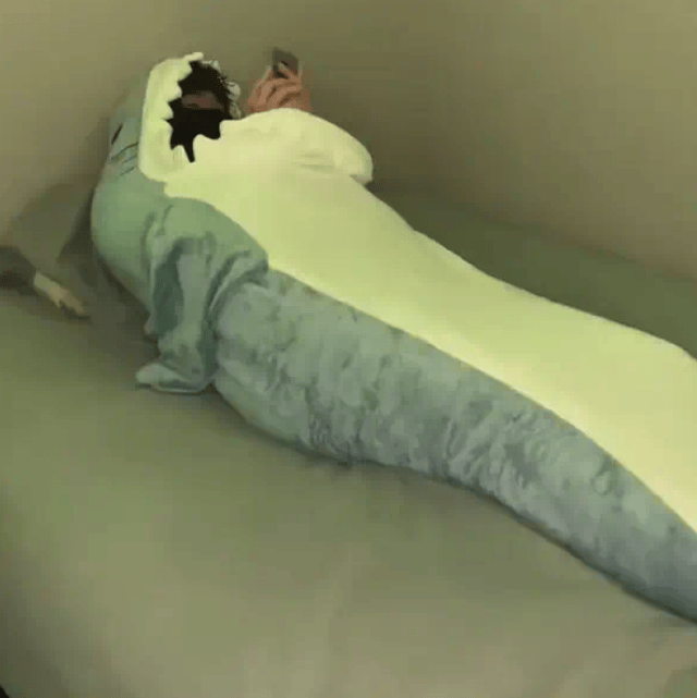 Cozyjaws® Shark Blanket