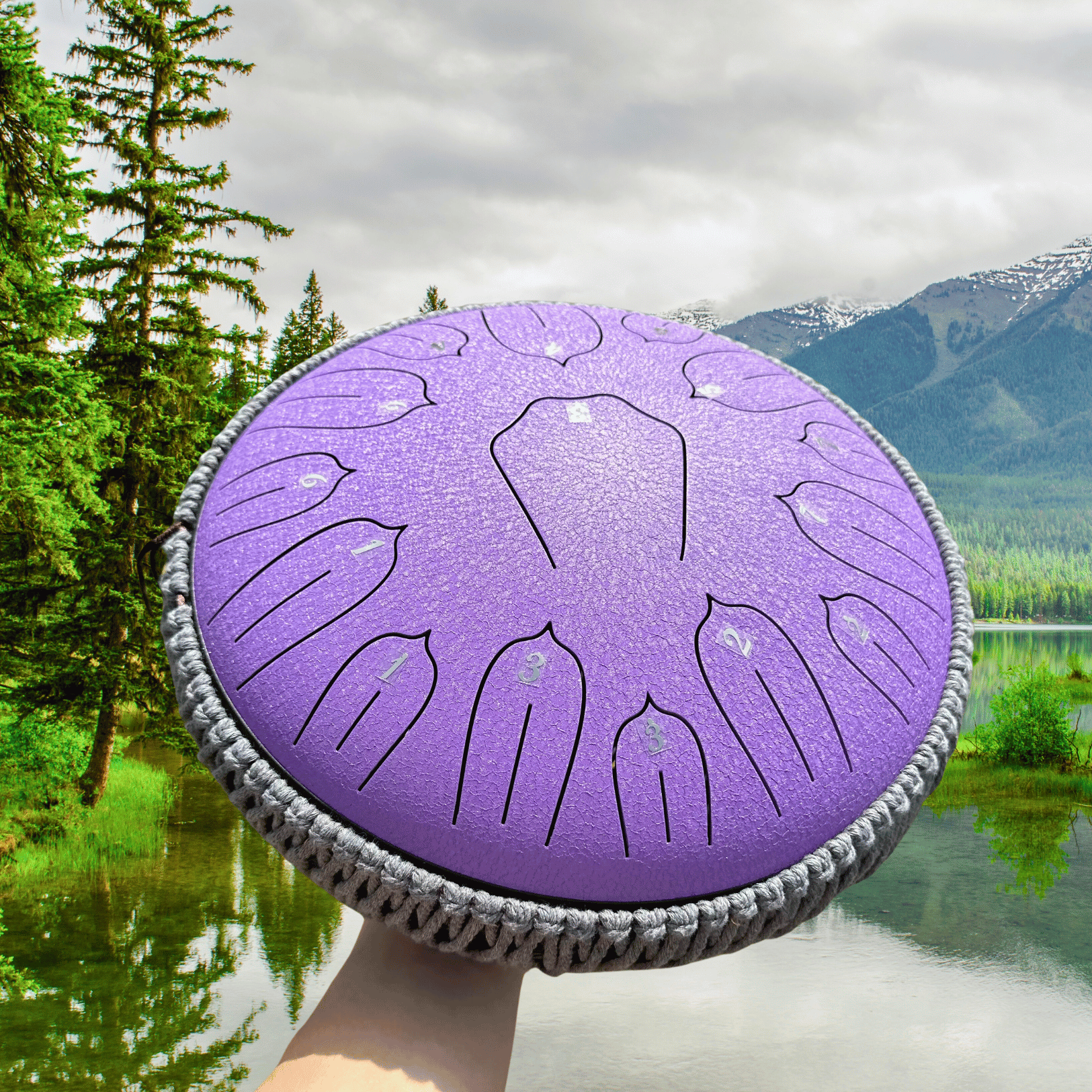 Equidrum™ 528hz With Accessories + Bonuses - Stamny