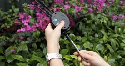 Solar Firefly Lights™