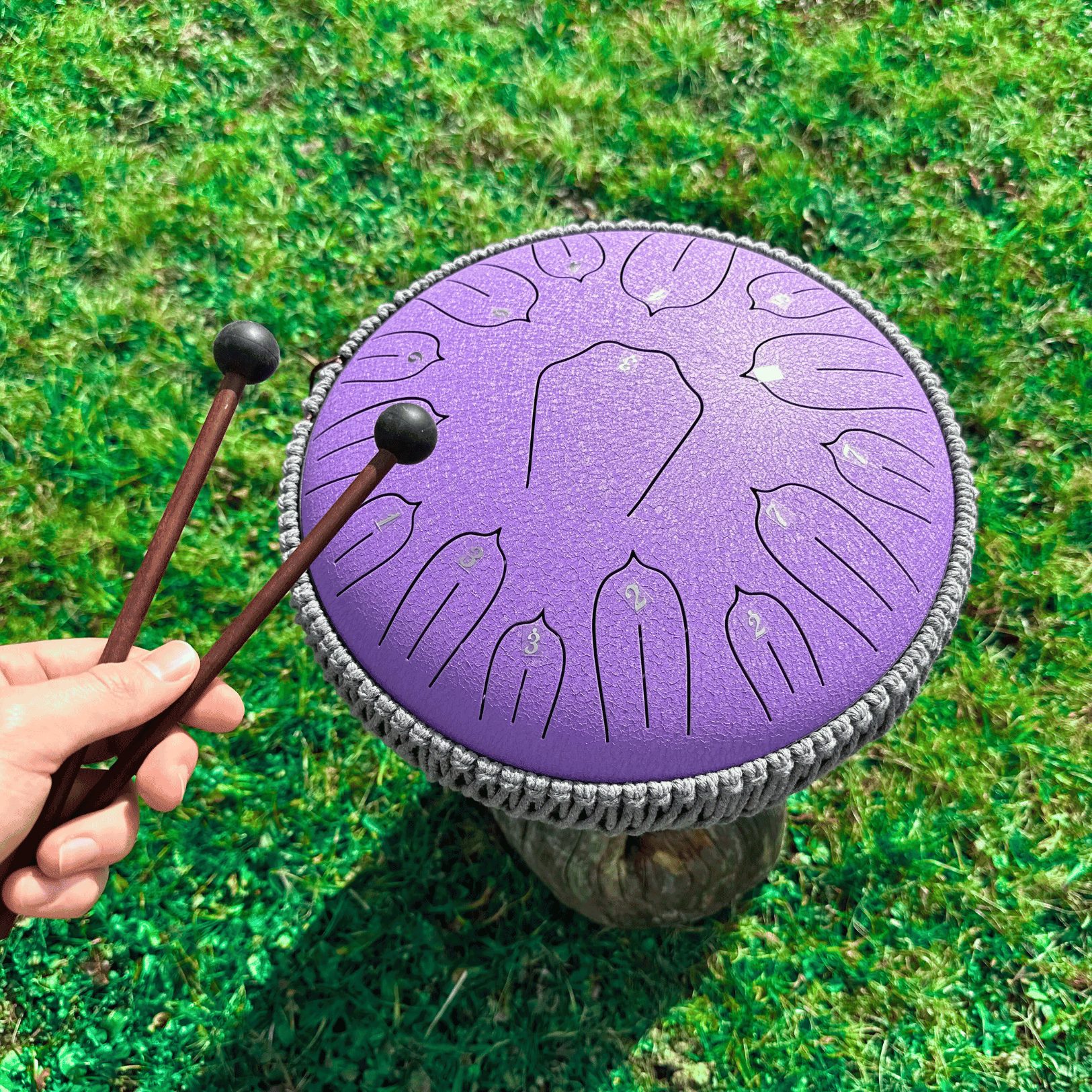 Equidrum™ 528hz With Accessories + Bonuses - Stamny