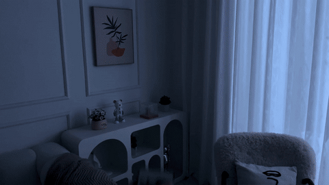 Northern Lights Projector