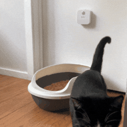 Femifresh Smart Deodorizer