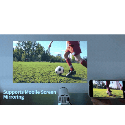 Boxipod™ Flexbeam Hy300 Pro