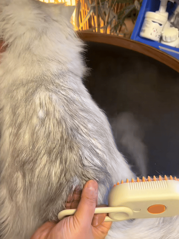 Furry Fresh® - Pet Steam Brush