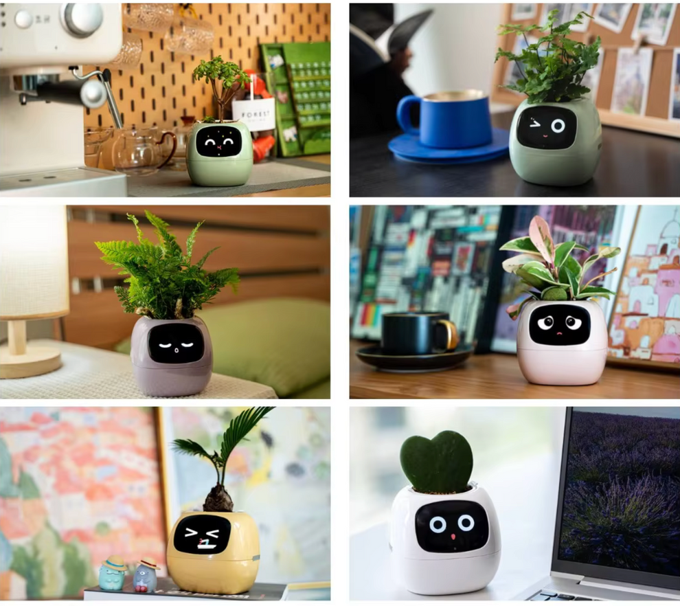 SmartGarden+ | Grow your plants at home