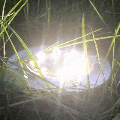 Solagarden™ Led Ground Light Pack